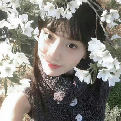 蝴蝶公墓